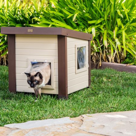 New Age Pet® Outdoor ECOFLEX® Cat Shelter with Door Flaps, Tan