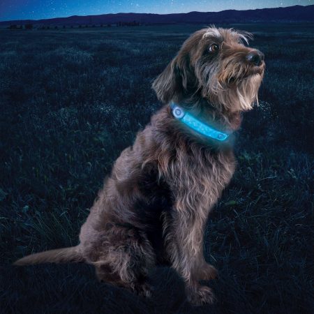 Nite Ize NiteDog Rechargeable LED Collar Cover