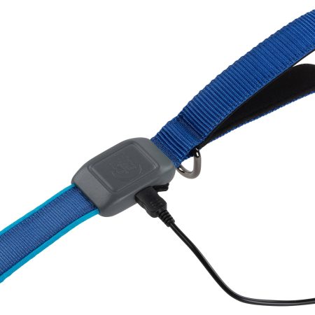 Nite Ize NiteDog Rechargeable LED Dog Leash, Water-Resistant and Reflective, 5-ft, Blue