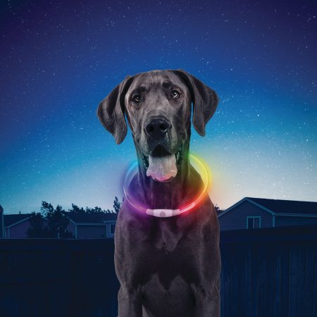 Nite Ize NiteHowl Rechargeable LED Dog Collar, Adjustable