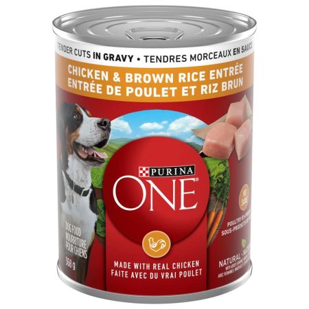 Purina ONE SmartBlend Chicken & Rice in Gravy Wet Dog Food, 368-g