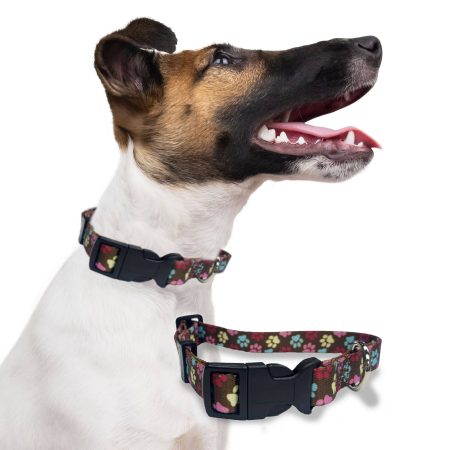 Perri's Premium Adjustable Pet Collar, Pawprint