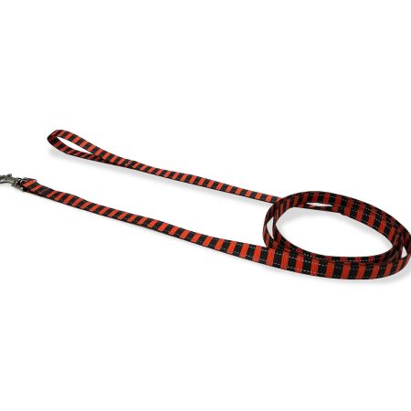 Perri's Pet Products Reflective Scary Stripes Dog Leash, Medium