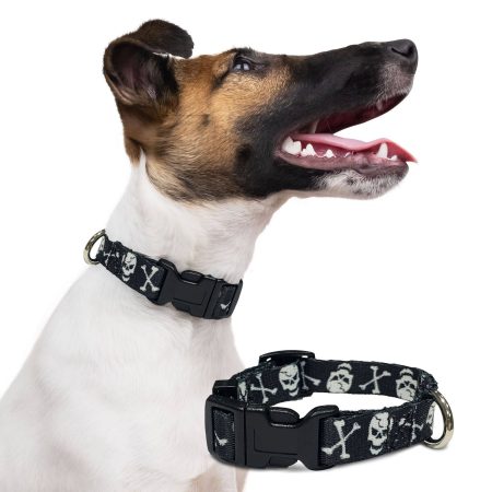 Perri's White Skulls Adjustable Dog Collar, Assorted Sizes