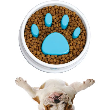 As Seen On TV Pet Slow Feeder Bowl, Small