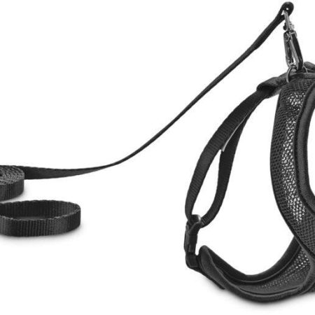 Petco Black Mesh Cat Harness and Leash Set, Adjustable For Cat Walking, 4-ft