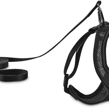 Petco Black Mesh Cat Harness and Leash Set, Adjustable For Cat Walking, 4-ft