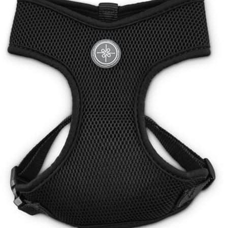 Petco Black Mesh Step-In Dog Harness Vest, Adjustable Straps, Small