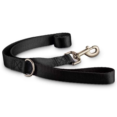 Petco Black Nylon Dog Leash, 4-ft