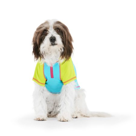 Petco Water-Resistant Cooling Rash-Guard Vest for Dogs, Blue/Green