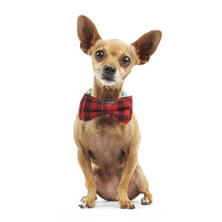 Petco Buffalo Check Plaid Dog/Pet Bowtie/Collar , 2-pk