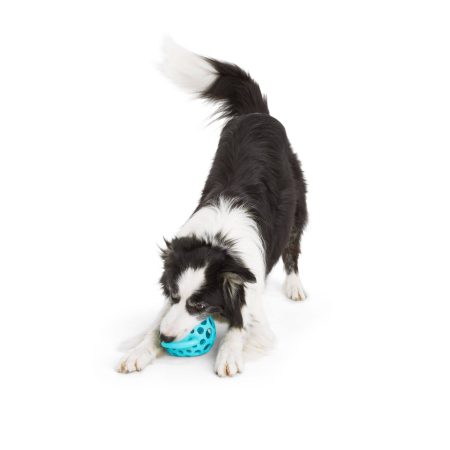 Petco Cage Ball with Handle Dog Toy, Large