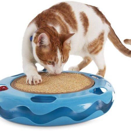 Petco Cat Track Cat Toy with Sisal Mat, Blue