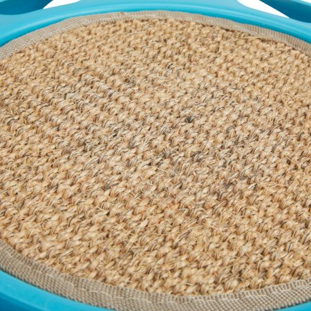 Petco Cat Track Cat Toy with Sisal Mat, Blue