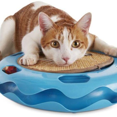 Petco Cat Track Cat Toy with Sisal Mat, Blue