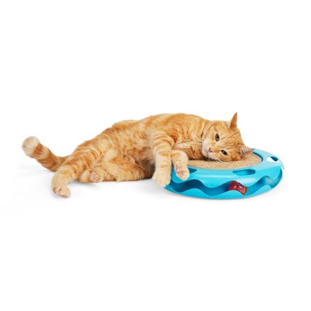 Petco Cat Track Cat Toy with Sisal Mat, Blue