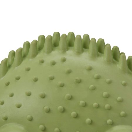 Petco Green Stego Dental Dog Chew Toy, Extra Small