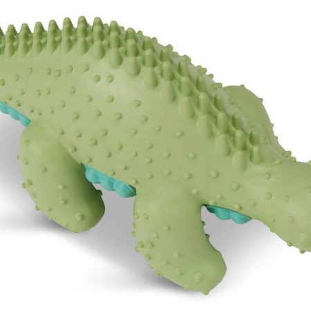 Petco Green Stego Dental Dog Chew Toy, Extra Small