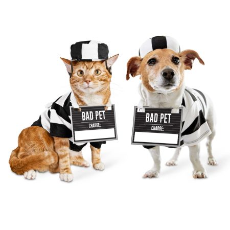 Petco Halloween Prisoner Costume, 3-pc