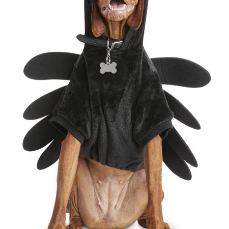 Petco Halloween Spider Dog/Pet Costume Hoodie, Assorted Sizes, Black