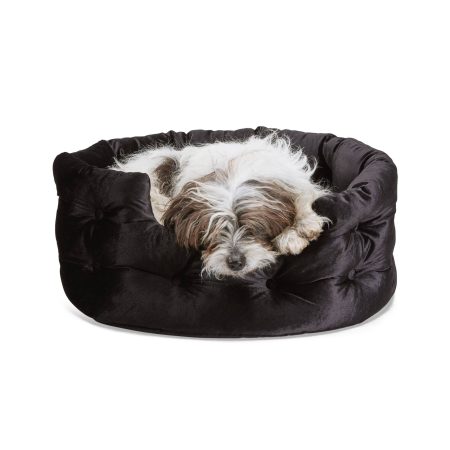 Petco Halloween Velvet Dog Bed, Black