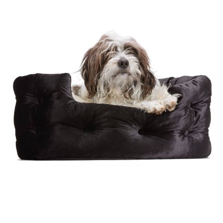 Petco Halloween Velvet Dog Bed, Black