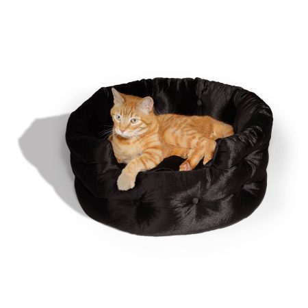 Petco Halloween Velvet Dog Bed, Black