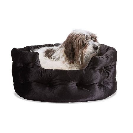 Petco Halloween Velvet Dog Bed, Black