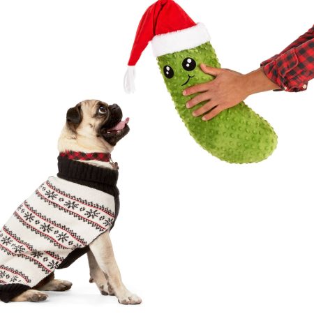 Merry Makings at Petco Dog Pickle Toy, 21-in