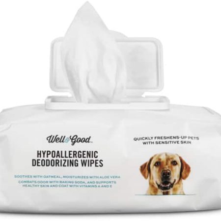 Well & Good Hypoallergenic Deodorizing Wipes, Unscented, 100-ct