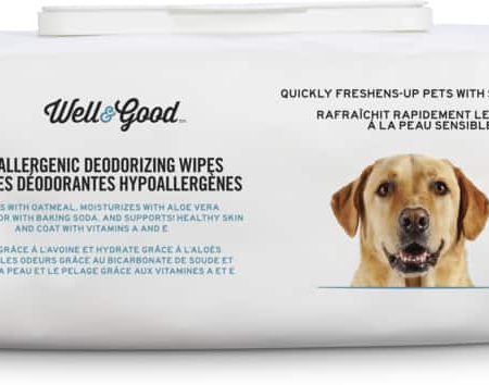 Well & Good Hypoallergenic Deodorizing Wipes, Unscented, 100-ct