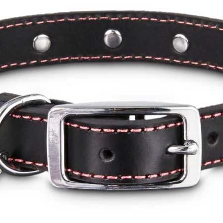 Petco Leather Jewel Dog Collar, Adjustable, Assorted Sizes, Black/Pink