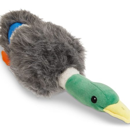 Petco Mallard Plush Dog Toy, Large