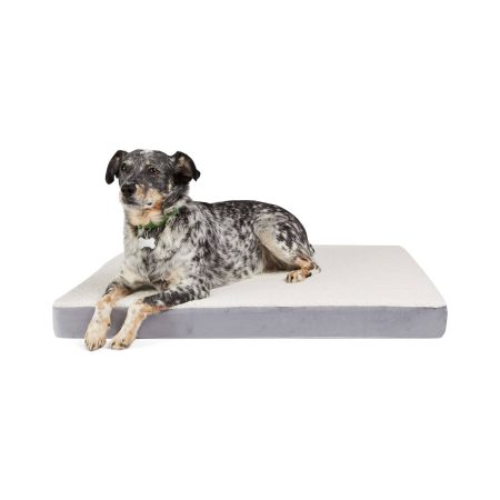 Petco Memory Foam Dog Bed, 36-in x 27-in, Grey