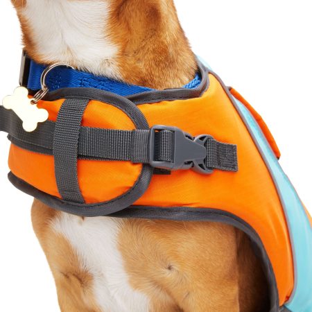 Petco Neon Life Jacket/Flotation Vest with Handle for Dogs, Orange and Blue