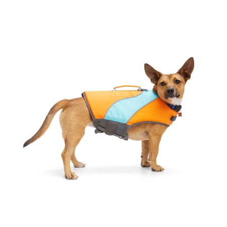 Petco Neon Life Jacket/Flotation Vest with Handle for Dogs, Orange and Blue