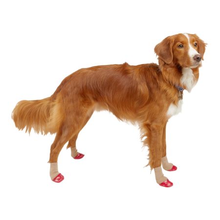 Petco Non-Skid Rubber-Dip Sock for Dogs, Red