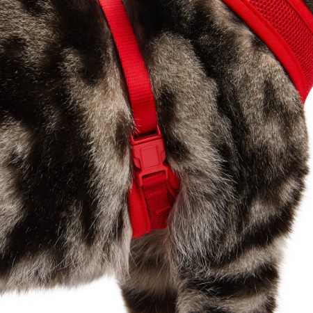 Petco Red Mesh Cat Harness and Leash Set, Adjustable For Cat Walking, 4-ft