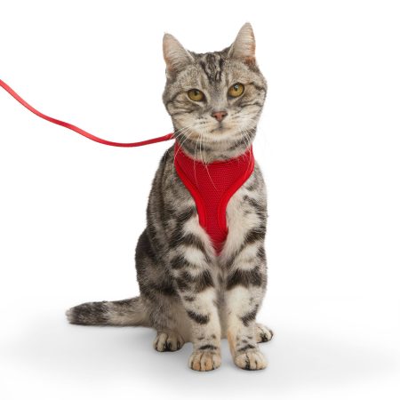 Petco Red Mesh Cat Harness and Leash Set, Adjustable For Cat Walking, 4-ft