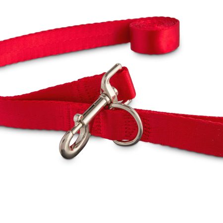 Petco Red Nylon Dog Leash, 6-ft