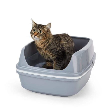 So Phresh Sifting Cat Litter Box, Grey