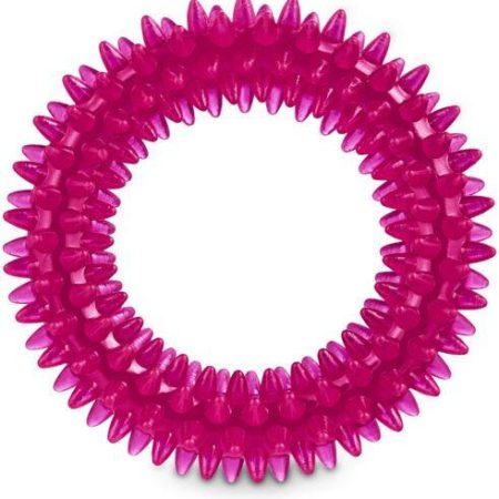 Petco Spiny Ring Dog Toy, Assorted Colours