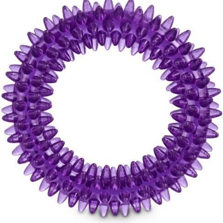 Petco Spiny Ring Dog Toy, Assorted Colours