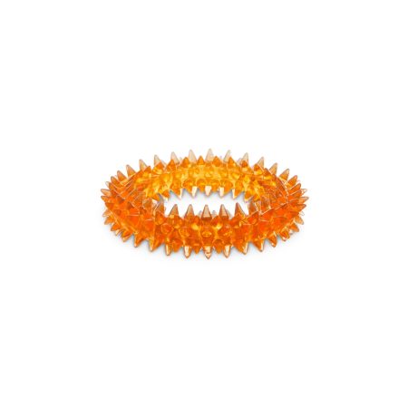 Petco Spiny Ring Dog Toy, Assorted Colours