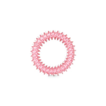 Petco Spiny Ring Dog Toy, Assorted Colours