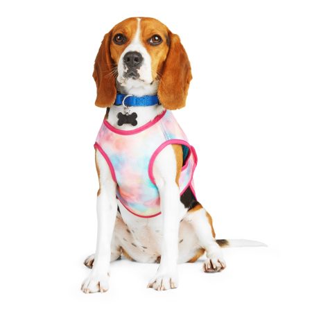 Petco Water-Resistant Cooling Watercolor Vest for Dogs