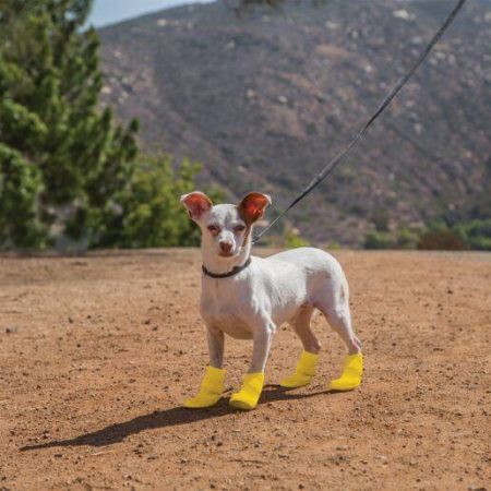 Petco Silicone Dog Boots, Waterproof , Medium, Yellow