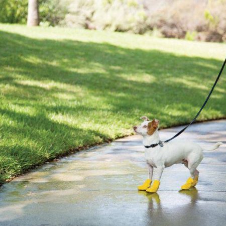 Petco Silicone Dog Boots, Waterproof , Small, Yellow