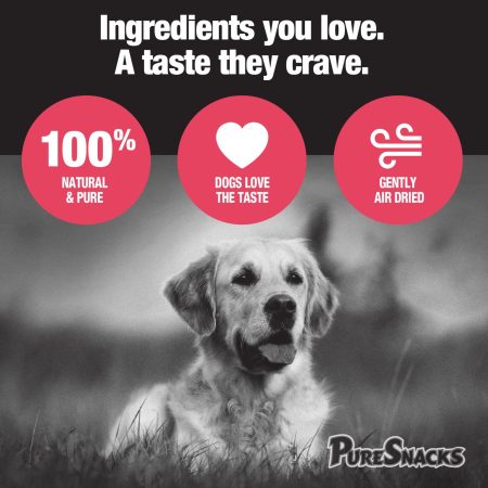 Pure Snacks Air Dried Chicken & Apple Dog Treats, 539-g