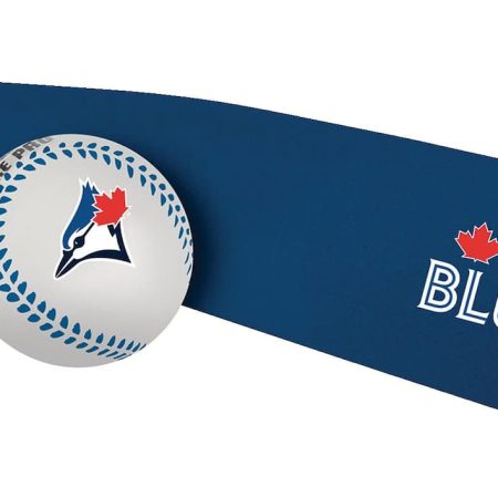 Rawlings Blue Jays Foam Bat & Ball